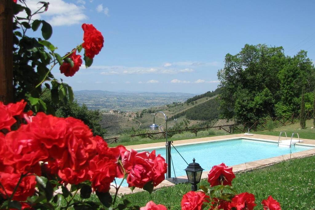 All Stone Horse Stable Converted To Elegant Apartment - Baltimora Spoleto Bagian luar foto